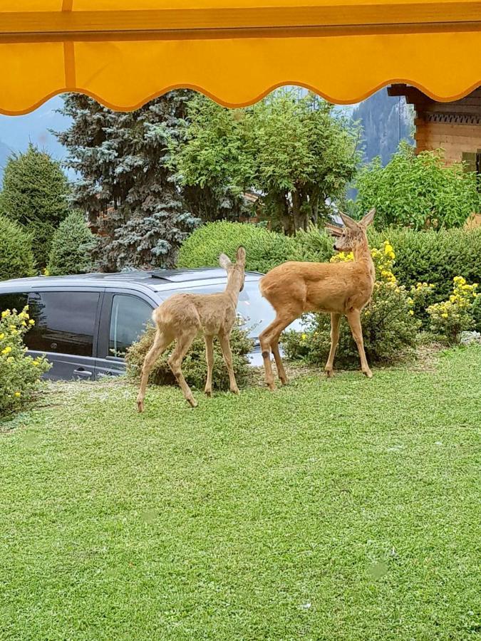 Appartement 2-Pieces A Verbier Bagian luar foto